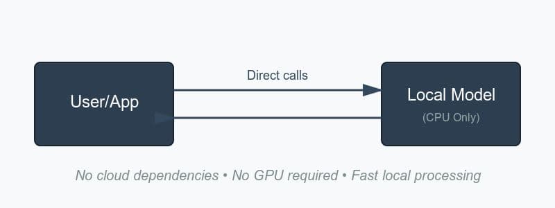 user app direct calls to local model
